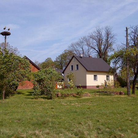Ferienwohnung Am Storchennest Schmogrow Экстерьер фото