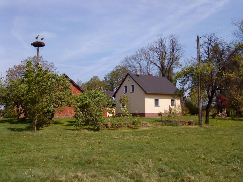 Ferienwohnung Am Storchennest Schmogrow Экстерьер фото